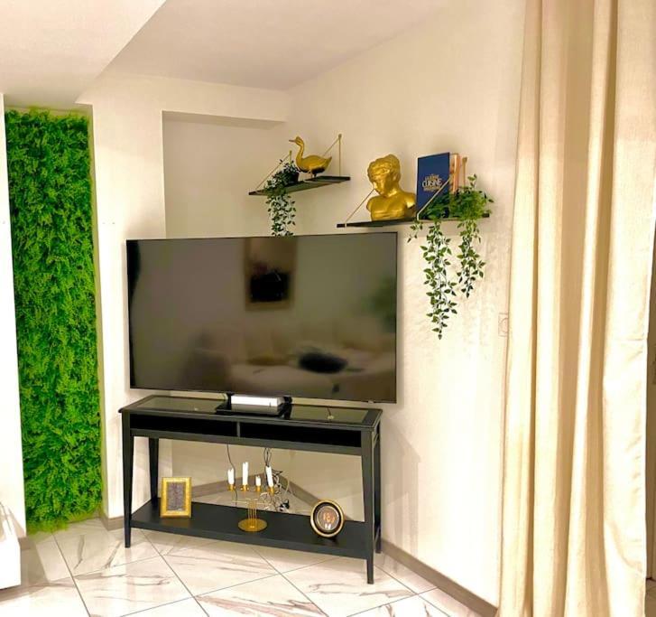Toulouse Vaste Appartement Tres Lumineux Esterno foto